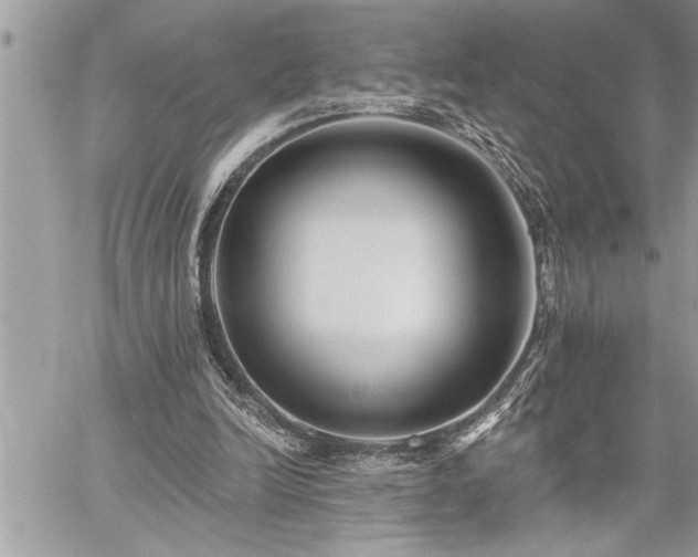 X0000059040246200510071024