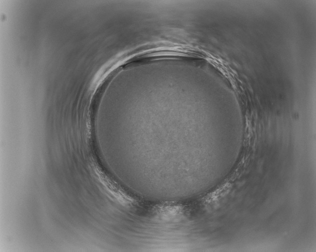 X0000059040247200510071024
