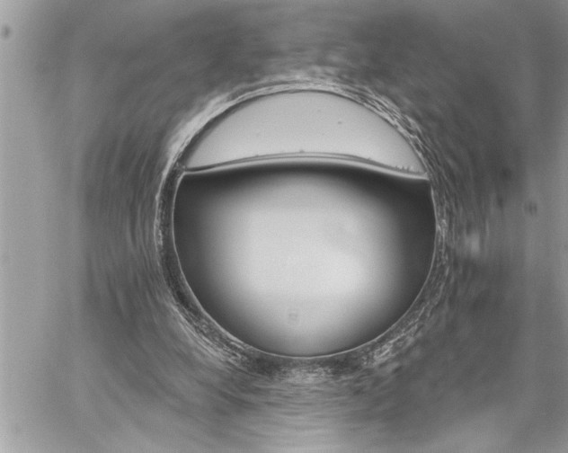 X0000059040248200510071024