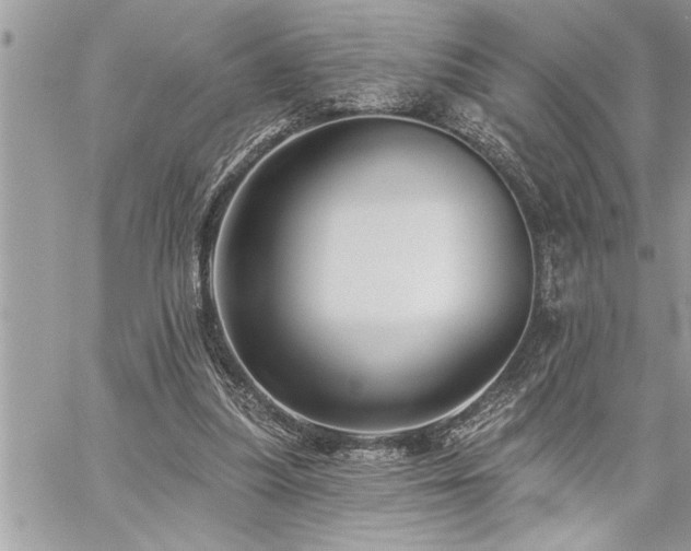 X0000059040251200510071024