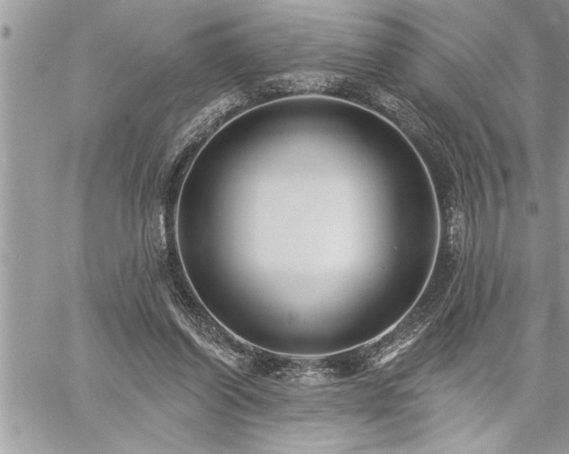 X0000059040254200510071024