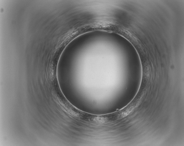 X0000059040261200510071024