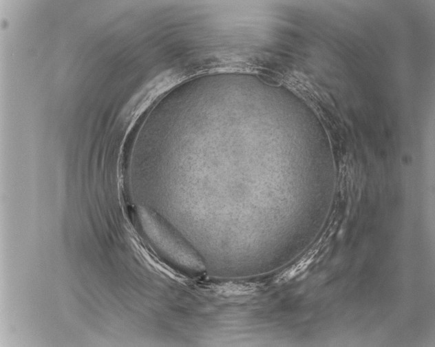 X0000059040290200510071024