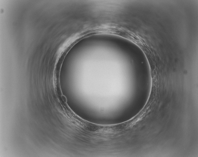 X0000059040294200510071024