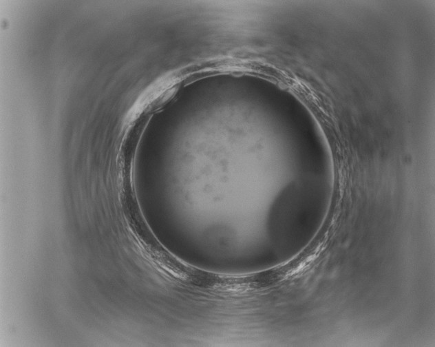 X0000059040295200510071024