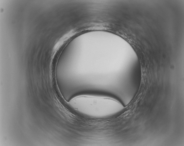 X0000059040296200510071024