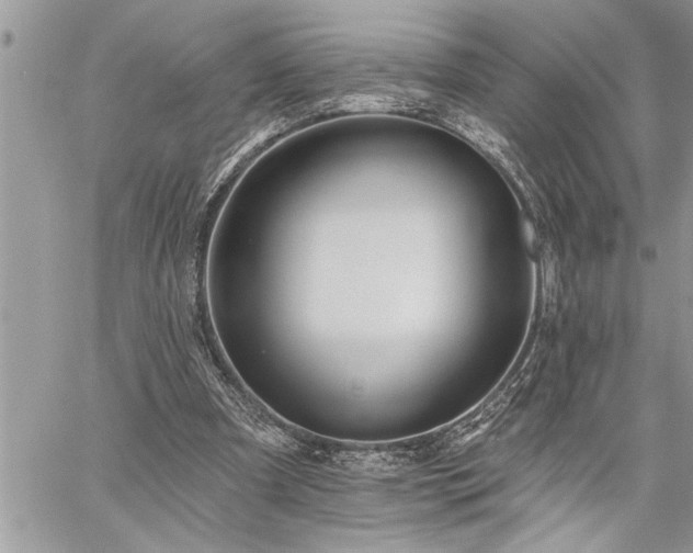 X0000059040297200510071024