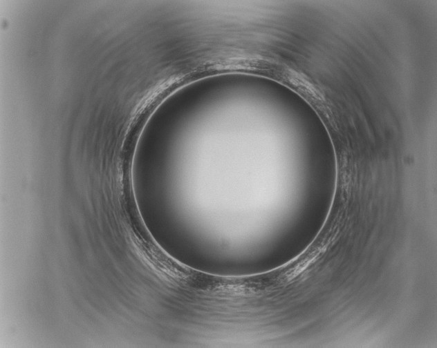 X0000059040298200510071024