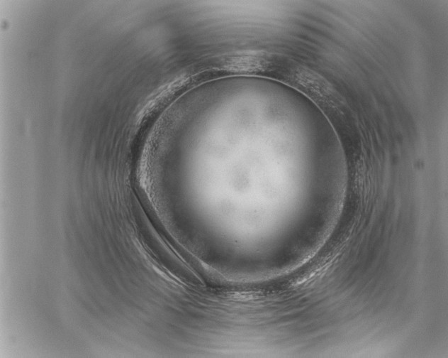 X0000059040303200510071024