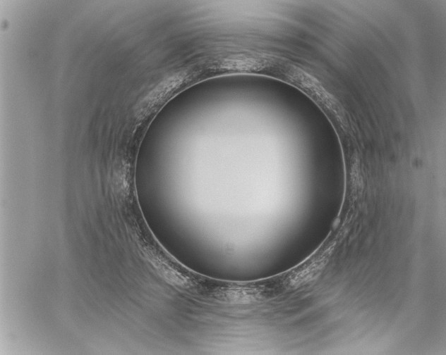 X0000059040305200510071024