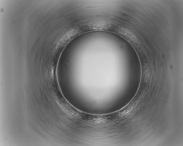 X0000059040310200510071024