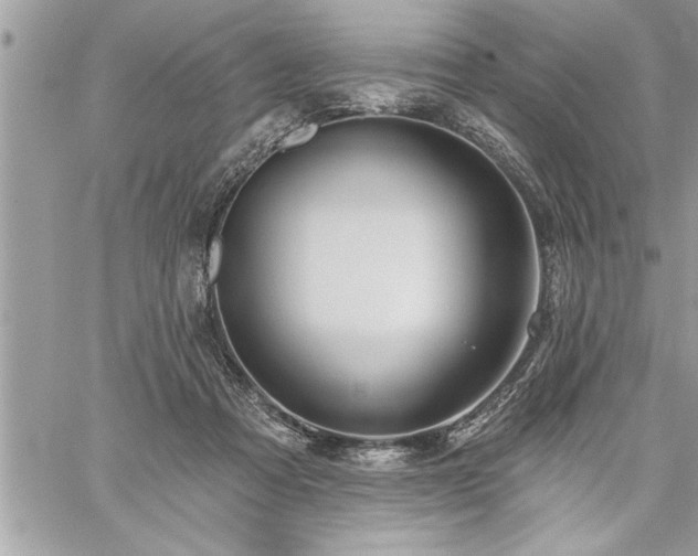 X0000059040313200510071024