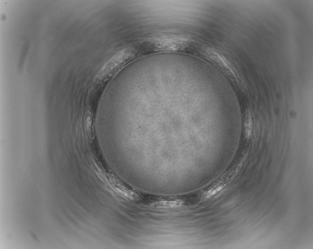 X0000059040314200510071024