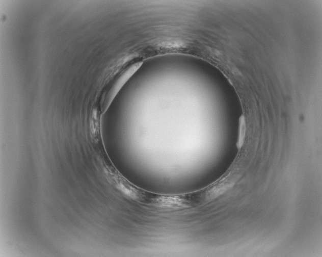 X0000059040528200510071020