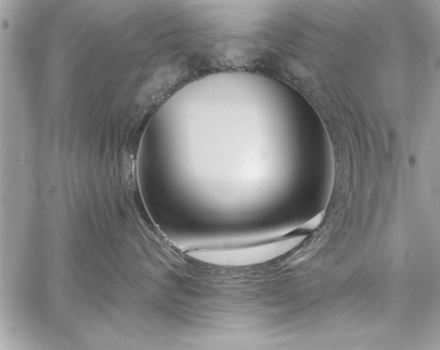 X0000059040624200510071018