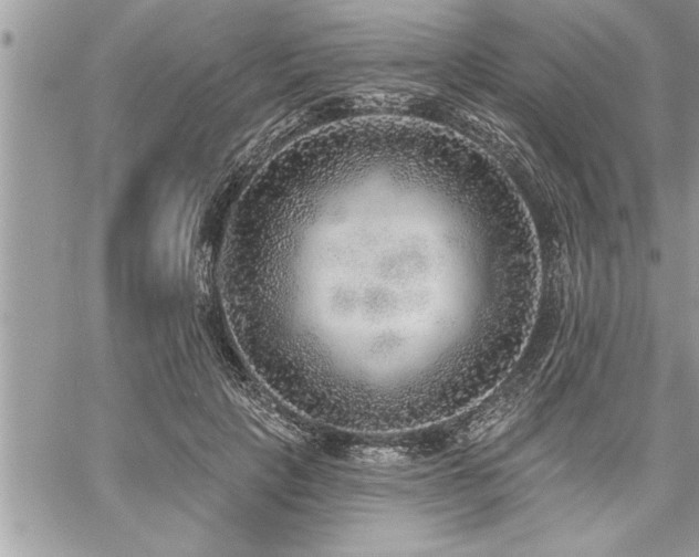 X0000059040649200510071018