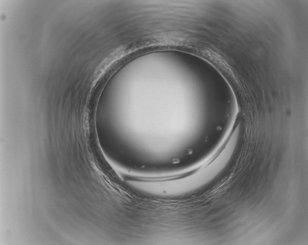 X0000059040676200510071017