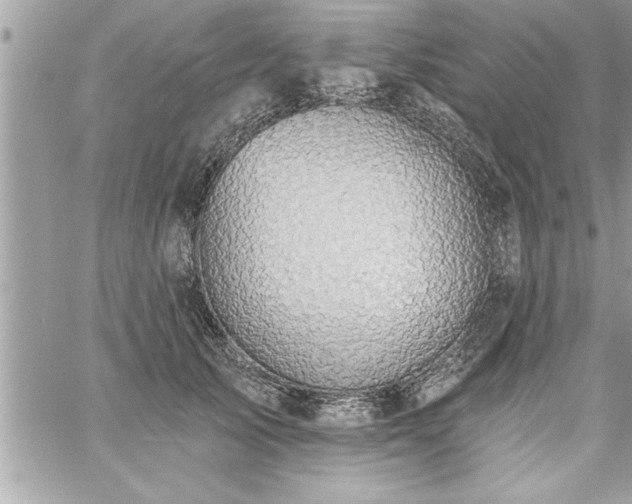 X0000059040705200510071017