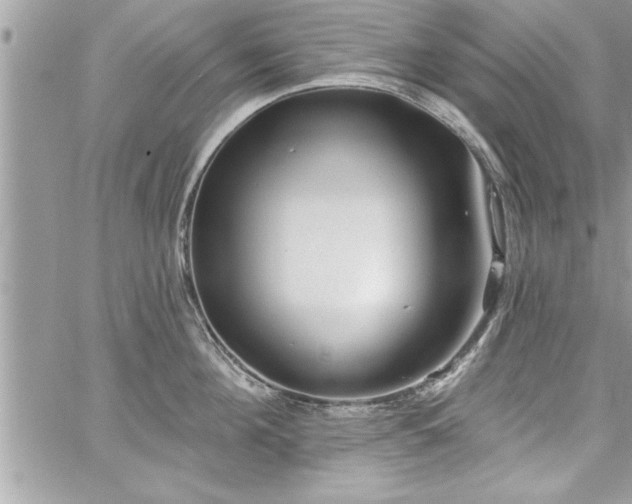 X0000059040908200510071013