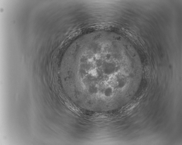 X0000059040913200510071013