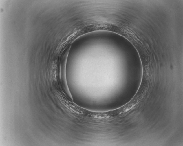 X0000059040916200510071013