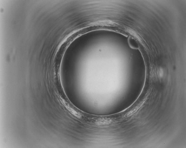 X0000059040923200510071013