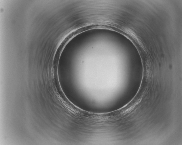 X0000059040924200510071013