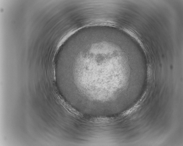 X0000059040925200510071013