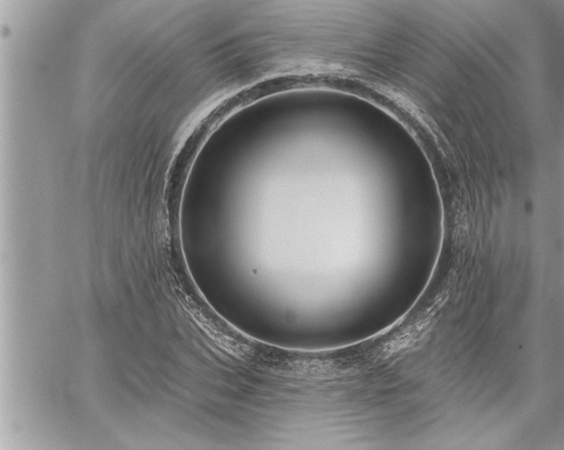 X0000059040927200510071013