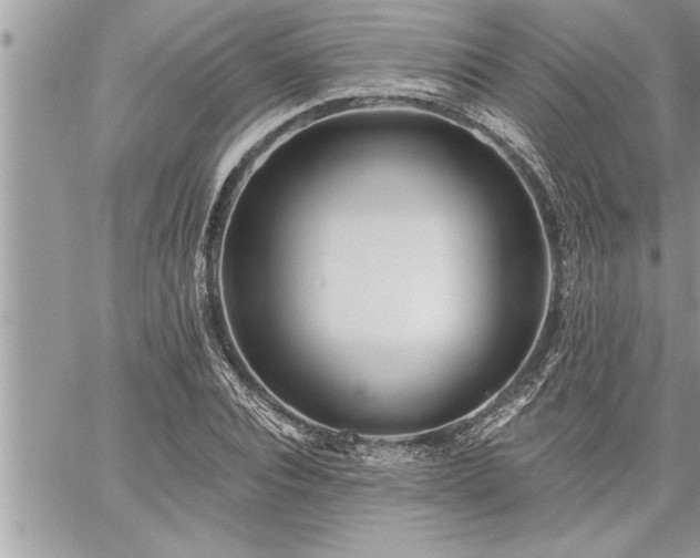 X0000059040928200510071013