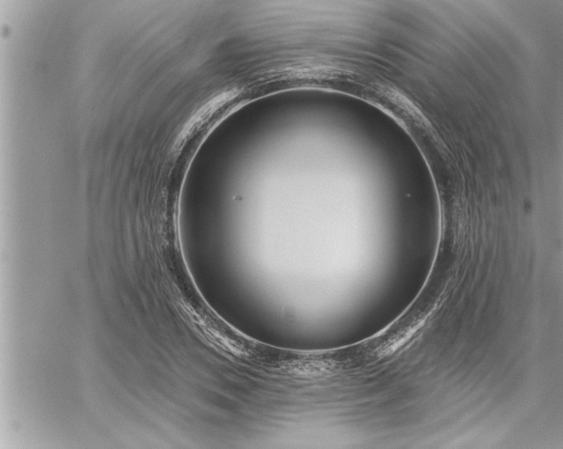 X0000059040930200510071013