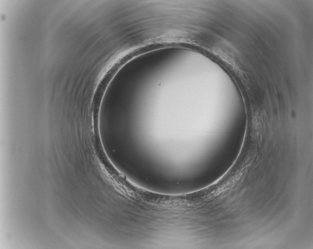 X0000059040934200510071013