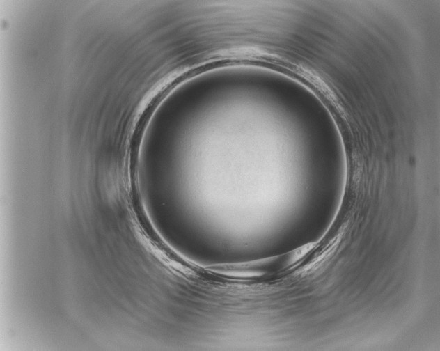 X0000059040939200510071013