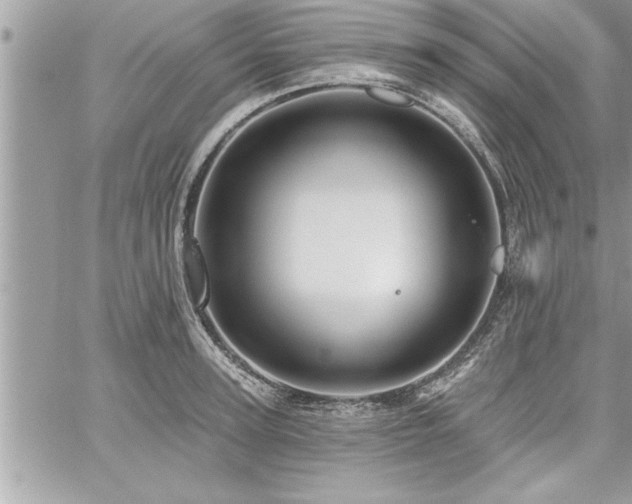 X0000059040947200510071013