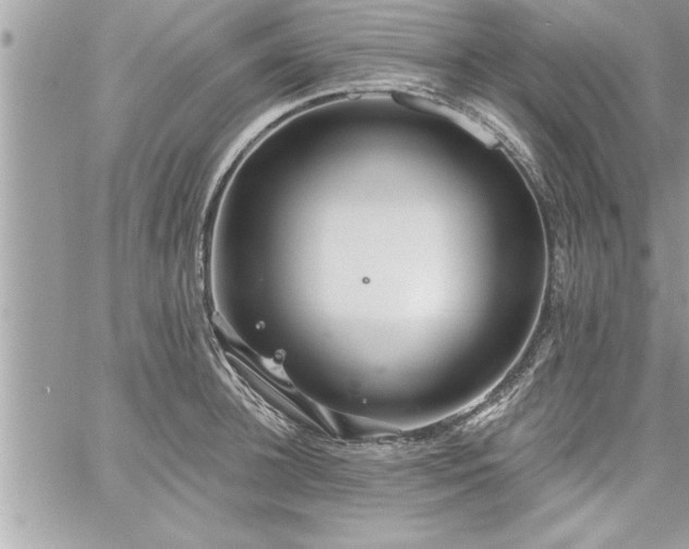 X0000059040948200510071013