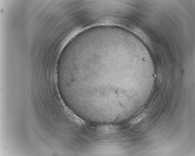 X0000059040950200510071013