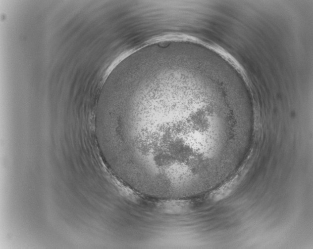 X0000059040953200510071013