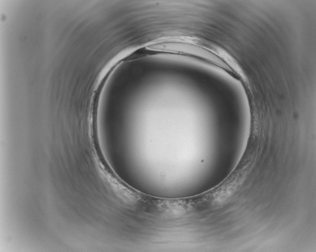 X0000059040955200510071013