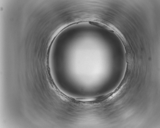 X0000059040956200510071013