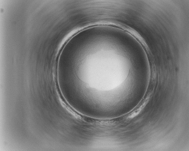 X0000059040958200510071013