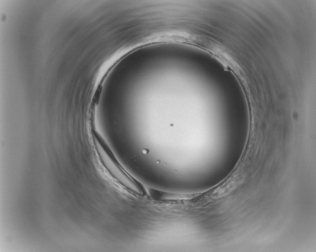 X0000059040960200510071013