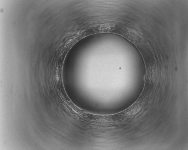 X0000059040962200510071013