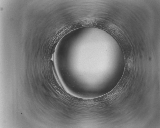 X0000059040964200510071013