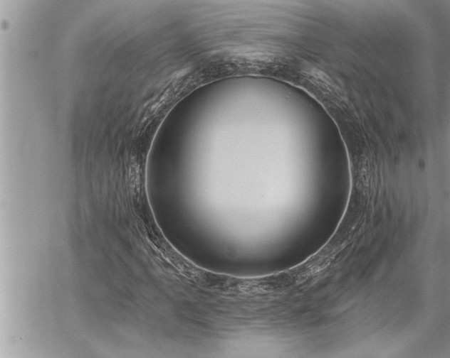X0000059041061200510071011