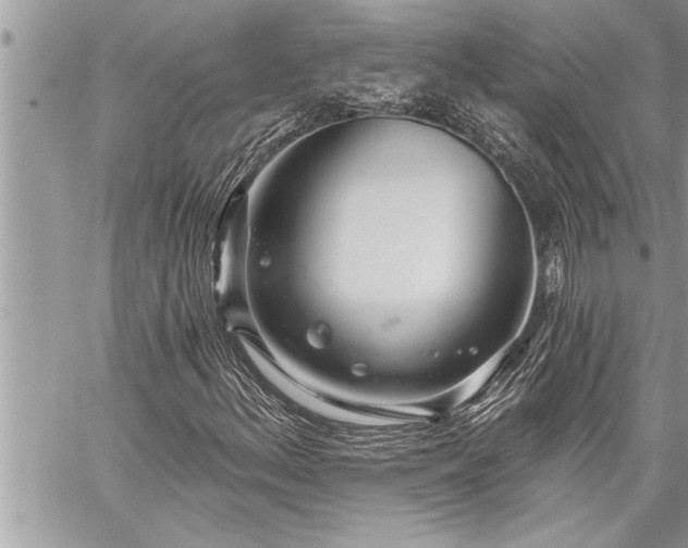 X0000059041156200510071009
