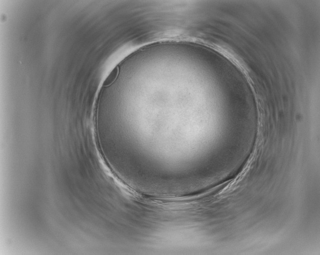 X0000059041440200510071005