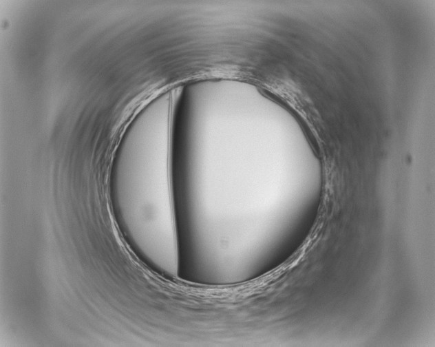 X0000059040001200510101022