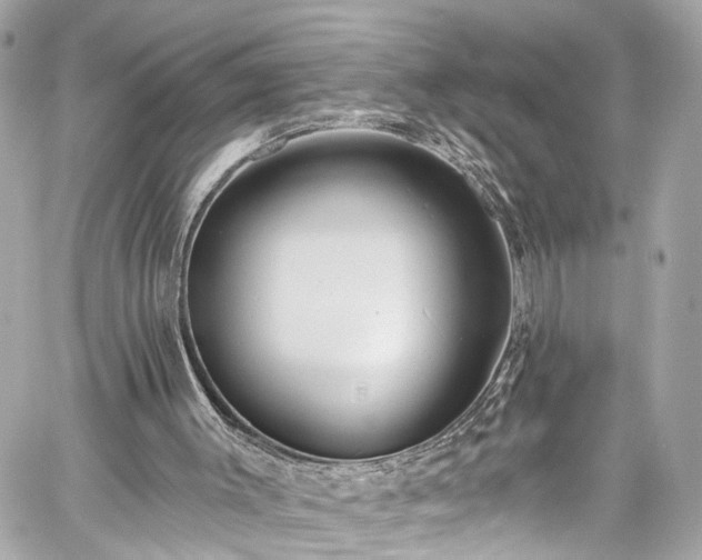 X0000059040003200510101022