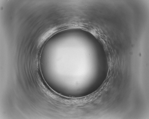 X0000059040005200510101022