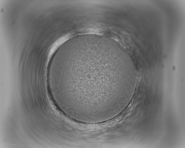 X0000059040006200510101022